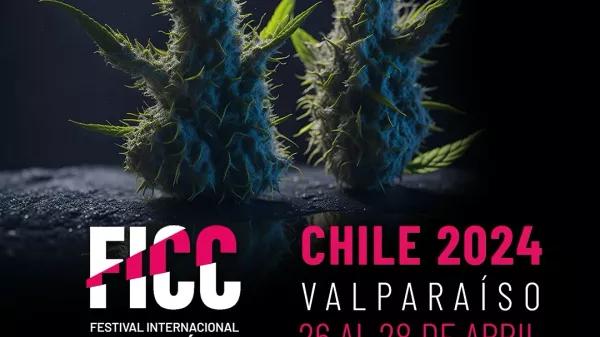 El Festival Internacional de Cine Cannábico vuelve a Chile