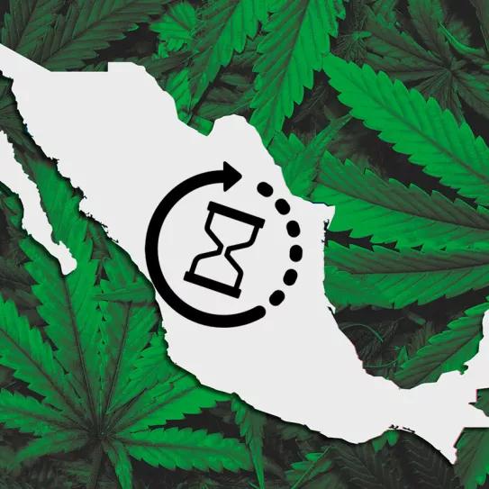 Los legisladores mexicanos siguen retrasando la regulación del cannabis