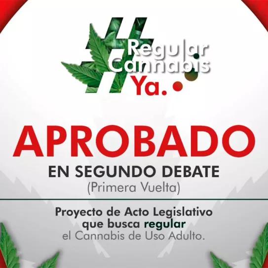 La regulación del cannabis en Colombia supera la segunda votación