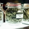 Ontario (Canadá) reduce el precio del cannabis para competir con el mercado negro