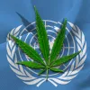 La ONU votará en diciembre para reconocer el valor medicinal del cannabis 