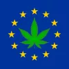 ¿Cuáles han sido las medidas del cannabis impulsadas en la ONU y la Unión Europea en el último año?