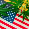 Estados de EE UU que han regulado el cannabis en el último año