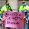 La Corte Constitucional de Colombia frena el intento del Gobierno de retomar las fumigaciones con glifosato