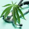 El OECM y ICEERS critican la falta expertos en cannabis medicinal convocados a la subcomisión