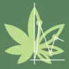 La regulación del cannabis medicinal llegará a España el mes que viene, asegura el Gobierno