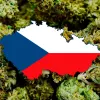 República Checa quiere presentar la legalización del cannabis en marzo