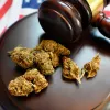 Delaware aprueba dos proyectos para legalizar el cannabis de uso adulto