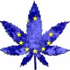 Europarlamentarios piden a la Comisión Europea que deje vía libre para legalizar el cannabis