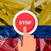 La regulación del cannabis en Colombia se hunde en el Senado