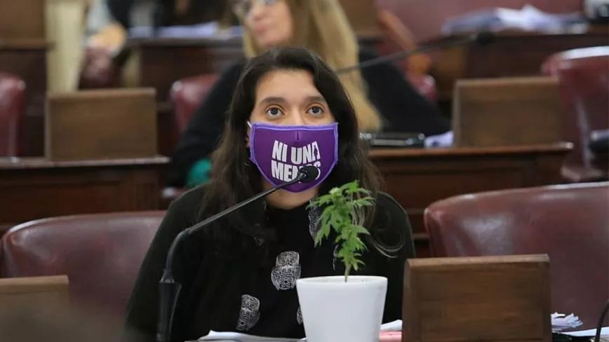 Las diputada argentina Agustina Donnet  en la sesión de la Cámara de Diputados con una planta de marihuana.