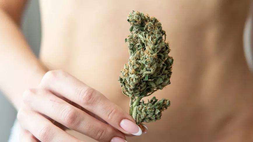 Nuevo estudio sobre el cannabis para tratar los problemas de la menopausia