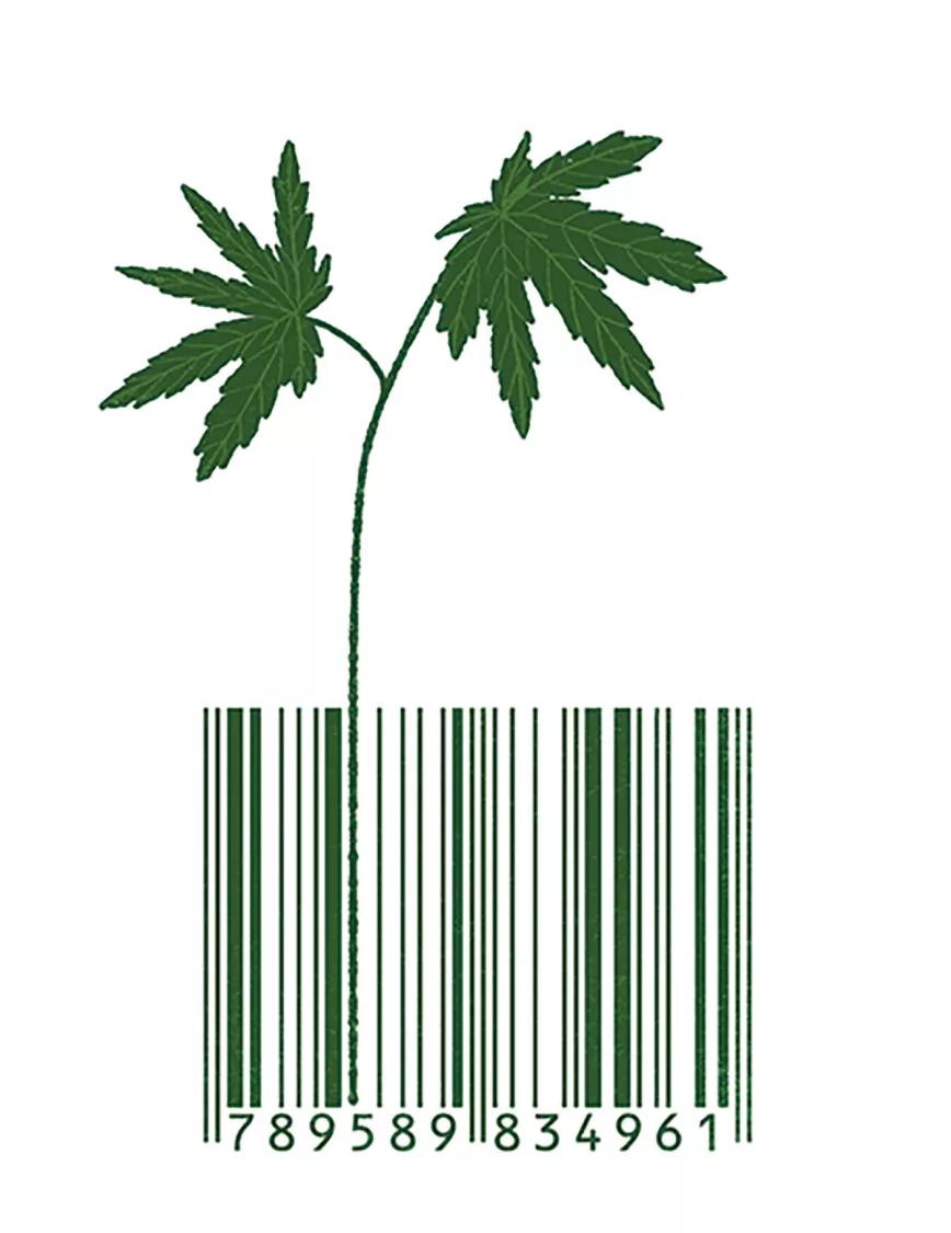 Ilustración: Cannabis - código de barras