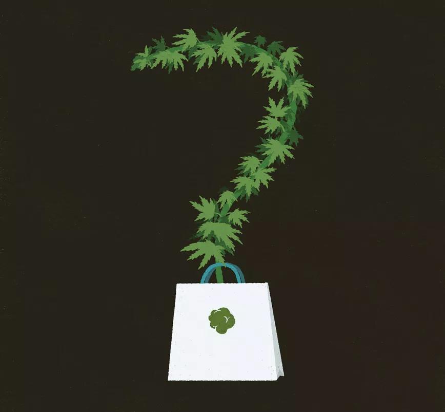 La planta de cannabis según la Convención Única sobre Estupefacientes de 1961: la interpretación oficial