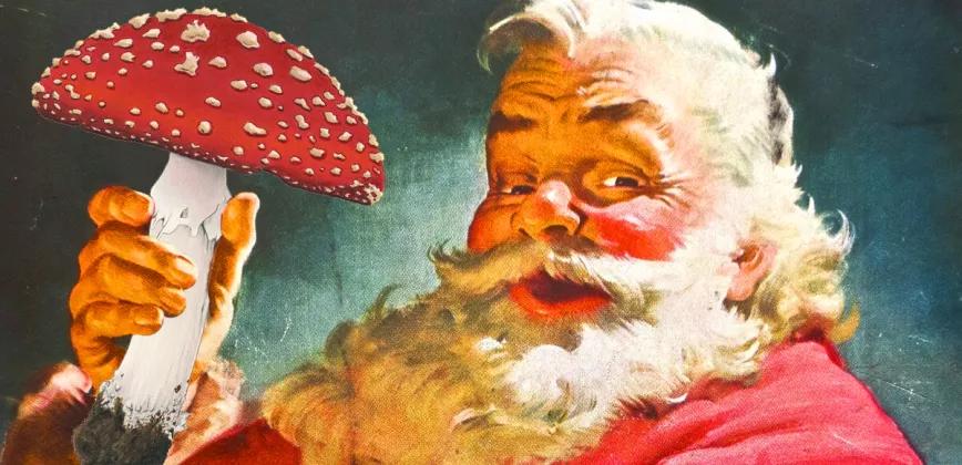 Santa Claus es una alucinación del hongo mágico Amanita Muscaria 