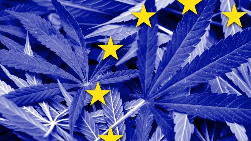 La mayoría de países de la UE venden productos de cannabis con bajo contenido de THC 