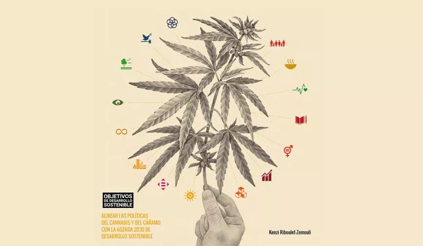 El cannabis puede ser la clave para lograr los objetivos de desarrollo sostenible de la ONU