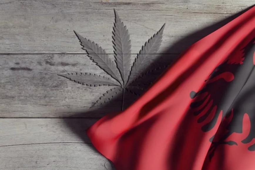 Albania inicia la regulación del cannabis 
