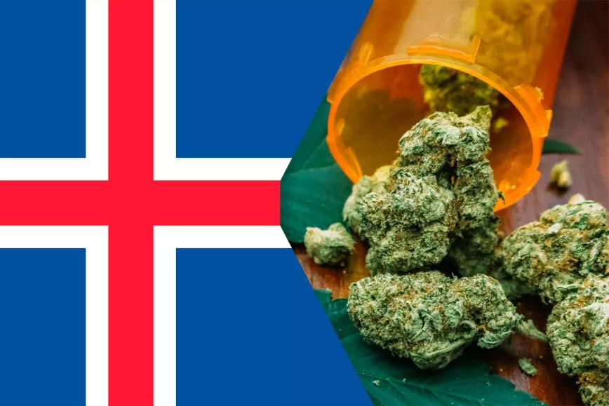 Islandia planea dar acceso al cannabis medicinal mediante un programa piloto 