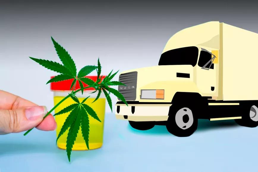La mayoría de camioneros de EE UU apoya legalizar el cannabis y relajar la política de tests 