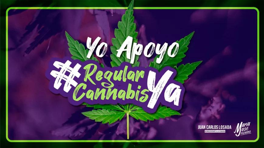 La regulación del cannabis en Colombia vuelve al Congreso y supera la primera votación