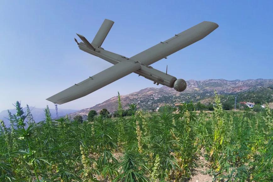 Marruecos utilizará drones para controlar los cultivos de cannabis autorizados