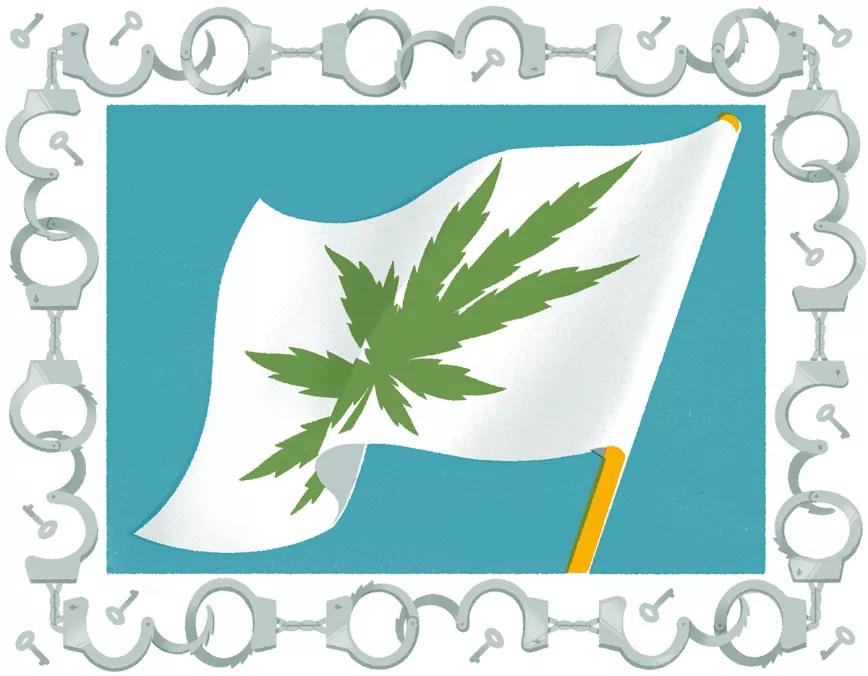 En el caso de que se produjera una legalización del cannabis, ¿se anularían todas las causas por cultivo de marihuana? 