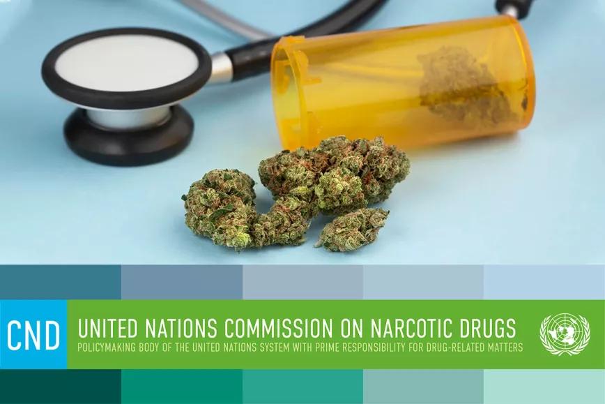 La Comisión de Estupefacientes de la ONU recibirá a usuarios de cannabis medicinal