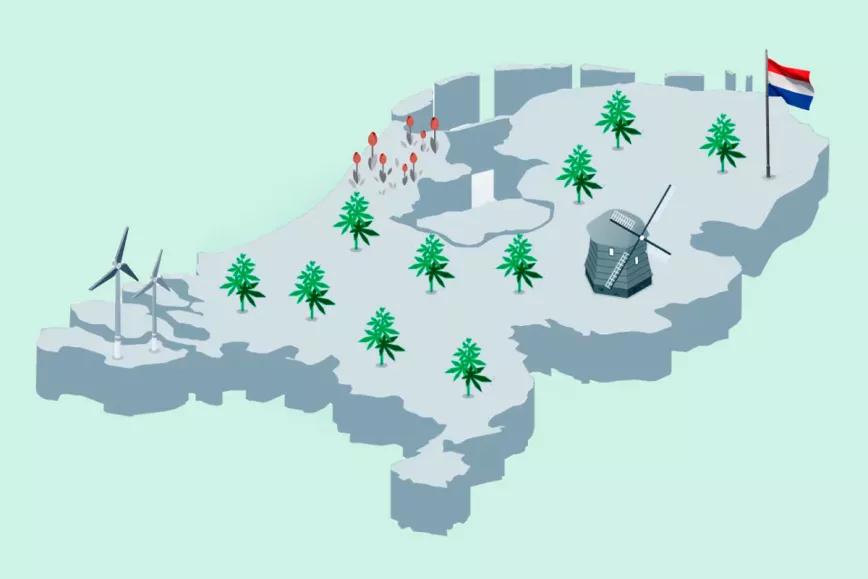 Países Bajos: el ensayo de cultivo de cannabis para venta en coffee shops se amplía a nuevas ciudades