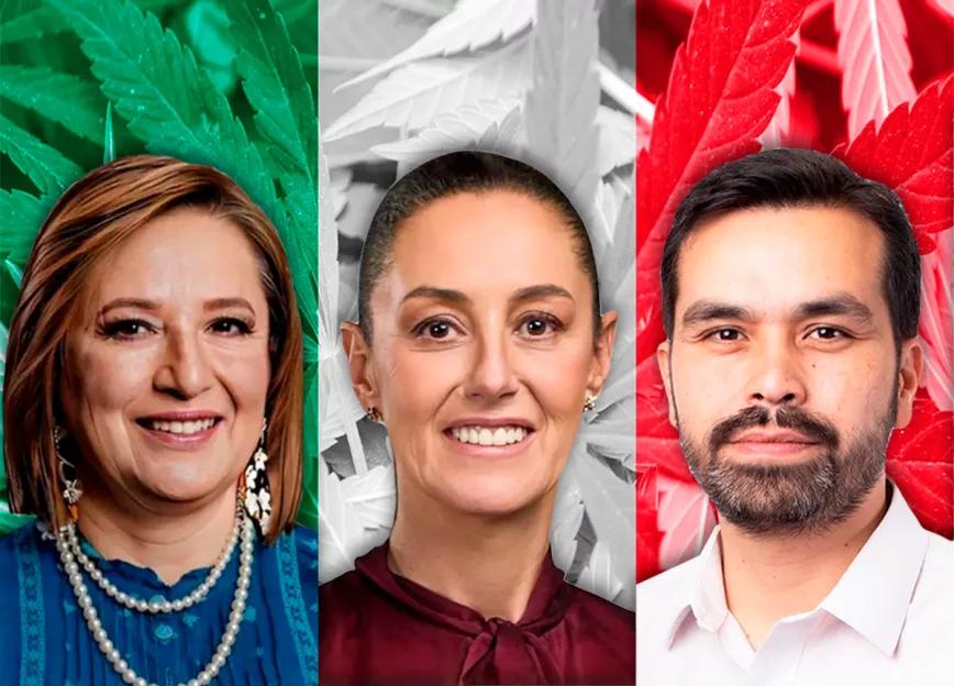 Elecciones en México: ¿qué piensan los candidatos sobre el cannabis?