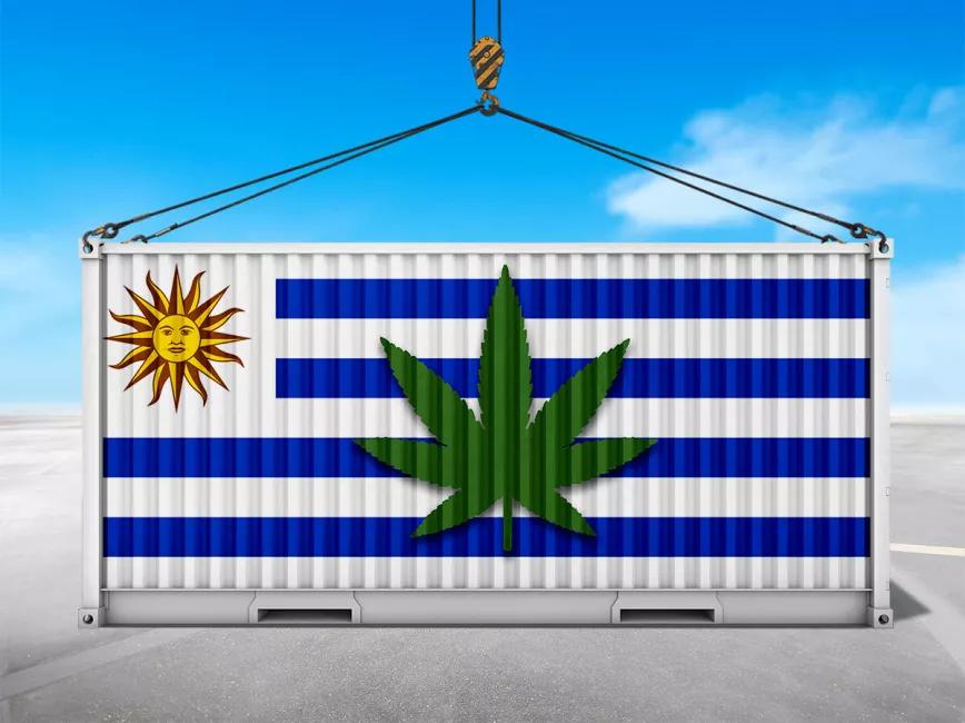 Uruguay exportó casi 25 millones de euros en productos derivados del cannabis