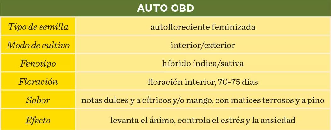Auto CBD Spanish Seeds