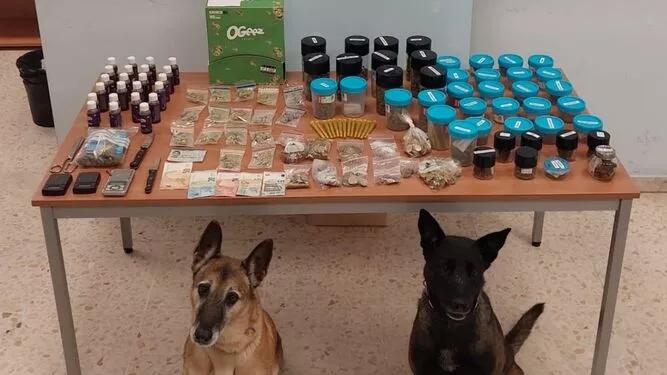 Los perros que han encontrado el cannabis en la asociación de consumidores de Marbella.