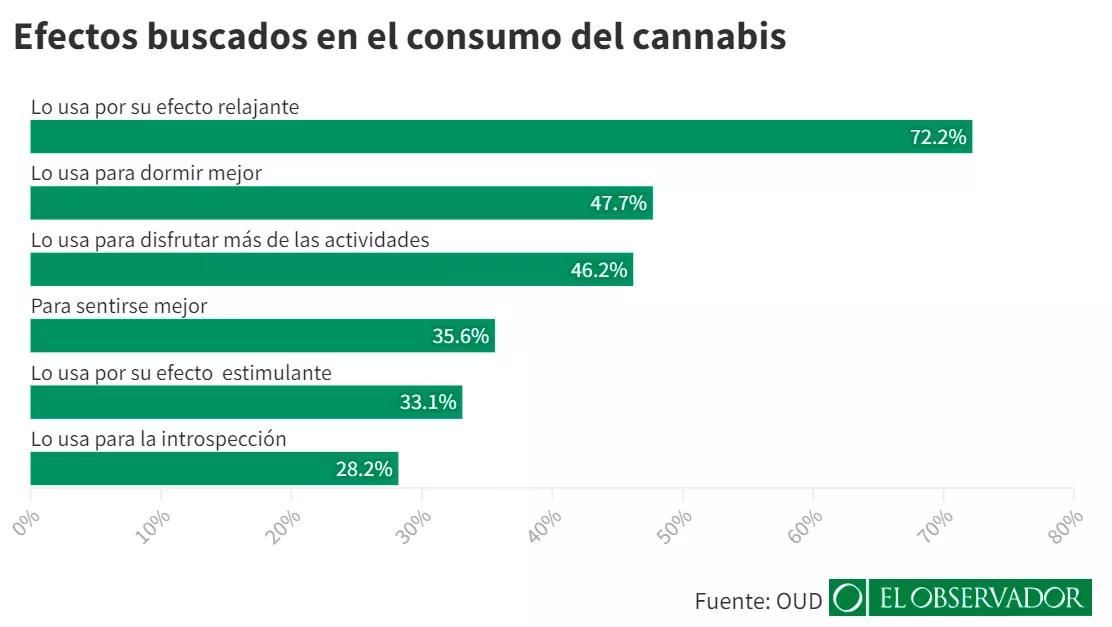 Encuesta consumo cannabis Uruguay